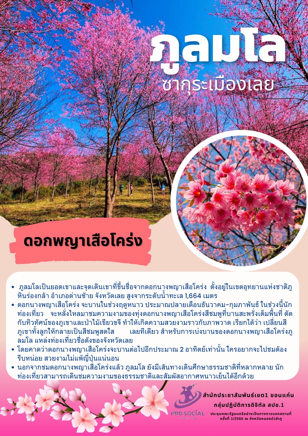ภูลมโล หรือซากุระเมืองไทย ตั้งอยู่ในเขตอุทยานแห่งชาติภูหินร่องกล้า เป็นสถานที่ท่องเที่ยวทางธรรมชาติ