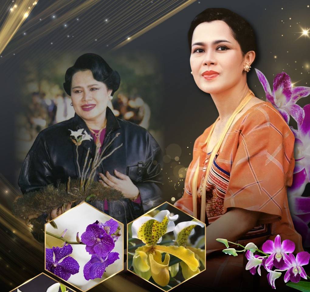 อนุรักษ์มรดกพรรณไม้ไทยอย่างยั่งยืน  &ldquo;คืนชีวิตกล้วยไม้ไทยสู่ไพรพฤกษ์&rdquo;