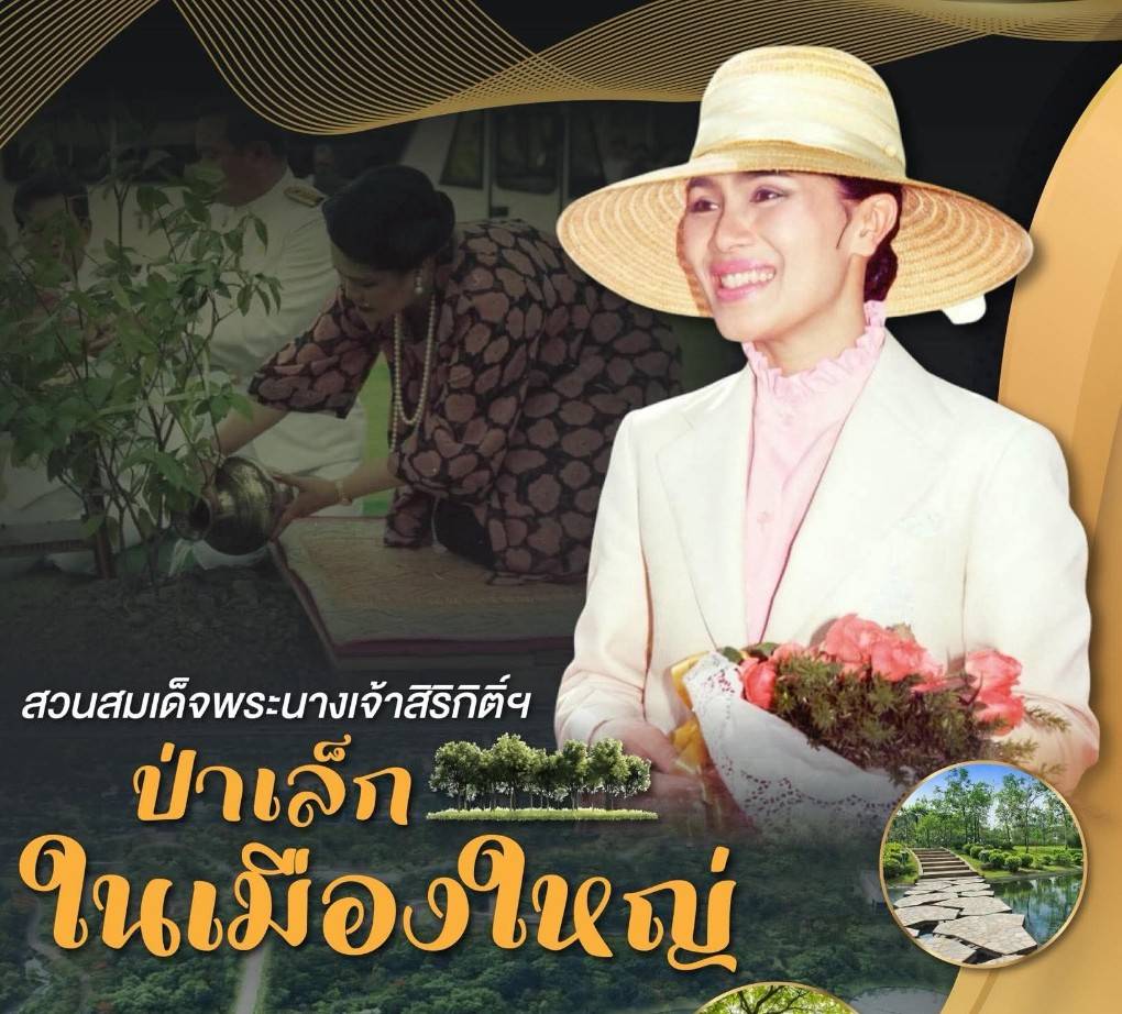 สวนสมเด็จพระนางเจ้าสิริกิติ์ฯป่าเล็กในเมืองใหญ่