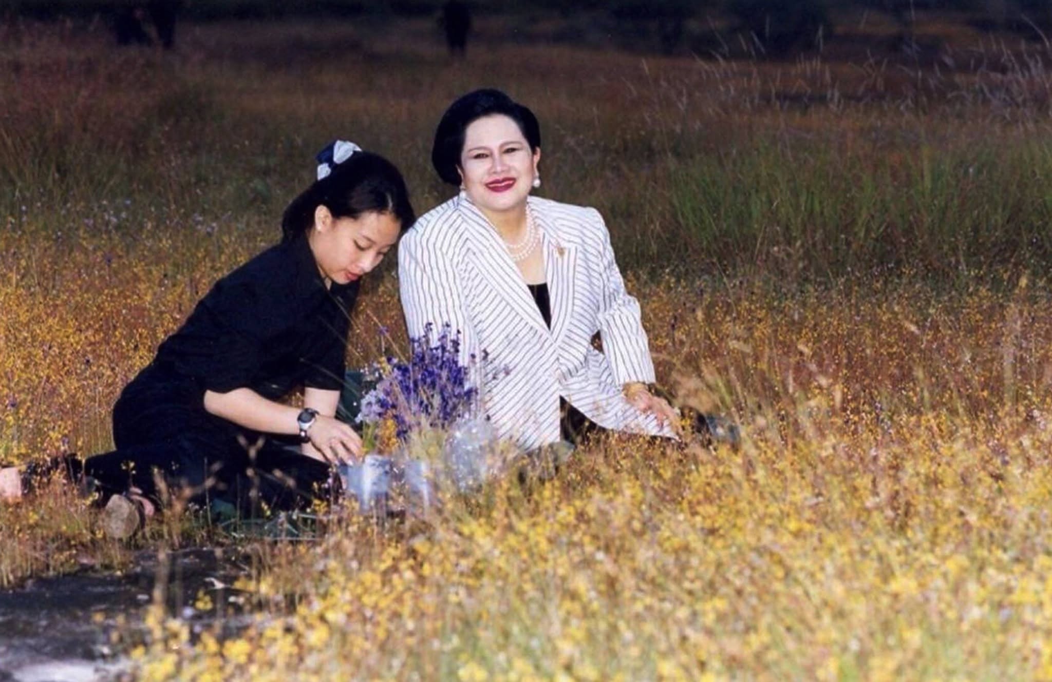 เสด็จพระราชดำเนินเป็นการส่วนพระองค์ เพื่อทอดพระเนตรทุ่งดอกไม้ป่า ณ บริเวณน้ำตกสร้อยสวรรค์ อุทยานแห่งชาติผาแต้ม จังหวัดอุบลราชธานี เมื่อวันที่ 22 พฤศจิกายน พุทธศักราช 2542"