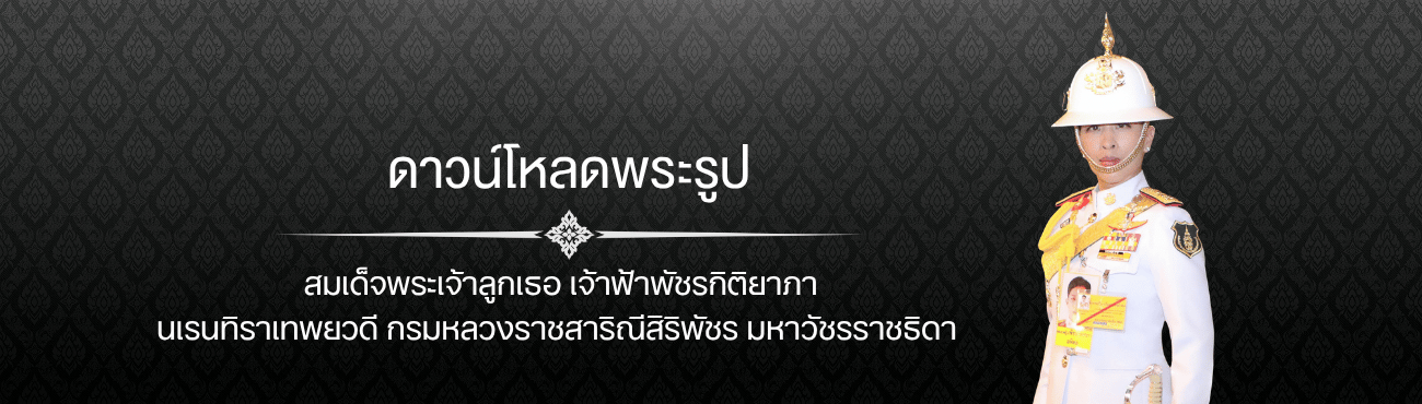 ดาวน์โหลดพระรูปองค์ภา