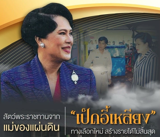 &ldquo;เป็ดอี้เหลียง&rdquo; ทางเลือกใหม่ สร้างรายได้ไม่สิ้นสุด สัตว์พระราชทานจากแม่ของแผ่นดิน