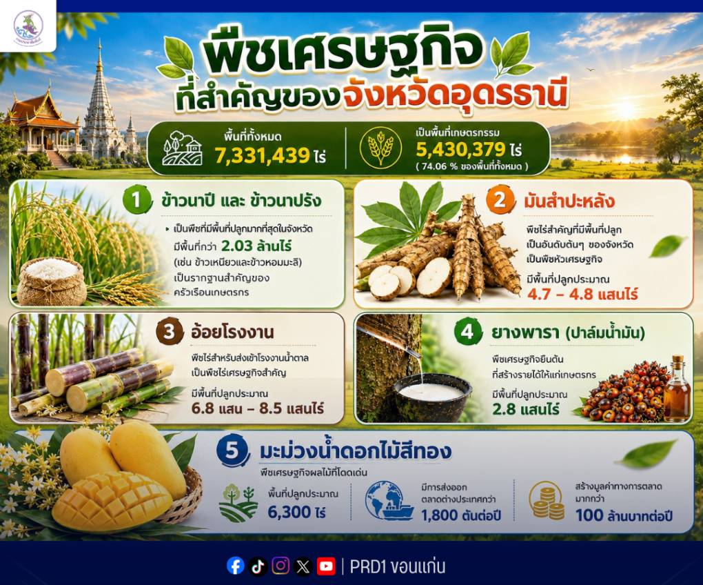 พืชเศรษฐกิจที่สำคัญของจังหวัดอุดรธานี&nbsp; ประชาชนส่วนใหญ่ในจังหวัดอุดรธานี ประกอบอาชีพเกษตรกรรม บนพื้นที่ทั้งหมด 7,331,439 ไร่ เป็นพื้นที่เกษตรกรรม 5,430,379 ไร่( 74.06 % ของพื้นที่ทั้งหมด) พืชที่สร้างอาชีพ สร้างรายได้หลัก ให้แก่เกษตรกร &nbsp;มี 5 ประเภทหลักๆดังนี้