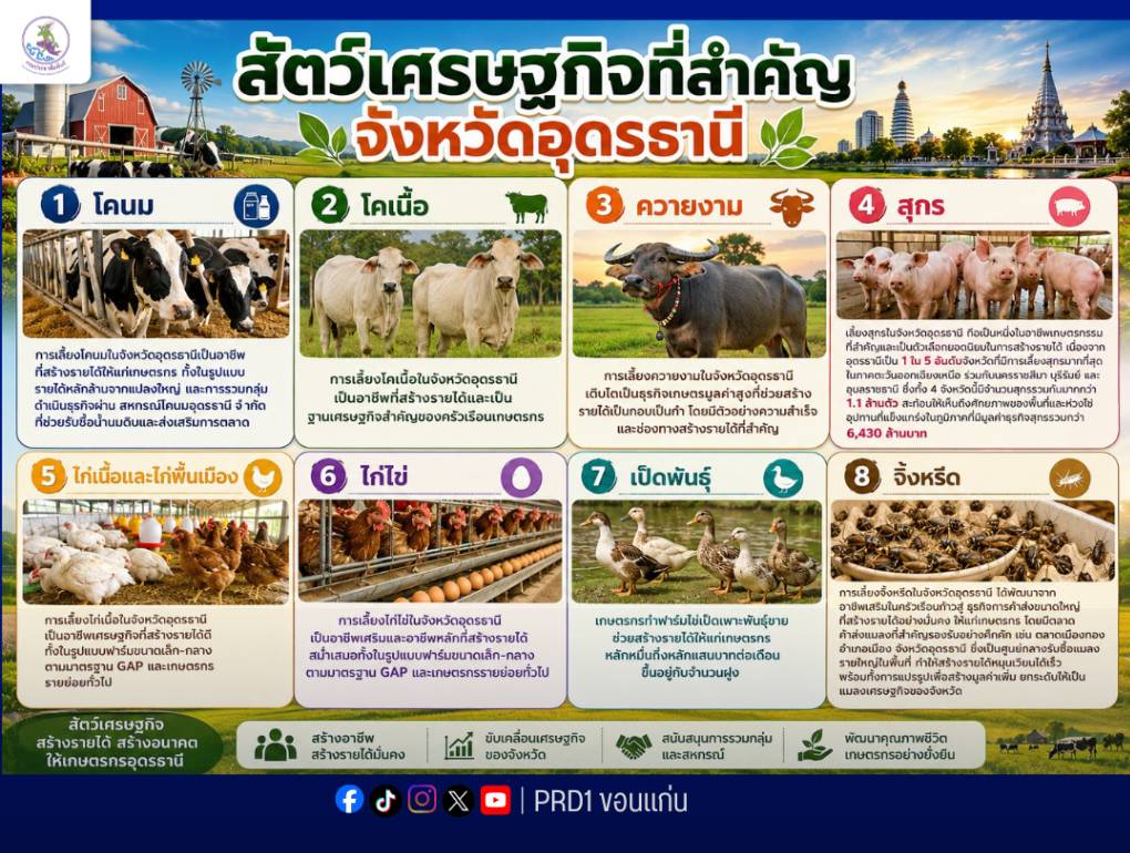 สัตว์เศรษฐกิจที่สำคัญจังหวัดอุดรธานี &nbsp; ที่เกษตรกรส่วนใหญ่เลี้ยงเพื่อใช้เป็นแรงงาน ตลอดค้าขายแลกเปลี่ยน สร้างอาชีพ สร้างรายได้หลัก ให้แก่เกษตรกร &nbsp;มี 8 ประเภทหลักๆดังนี้