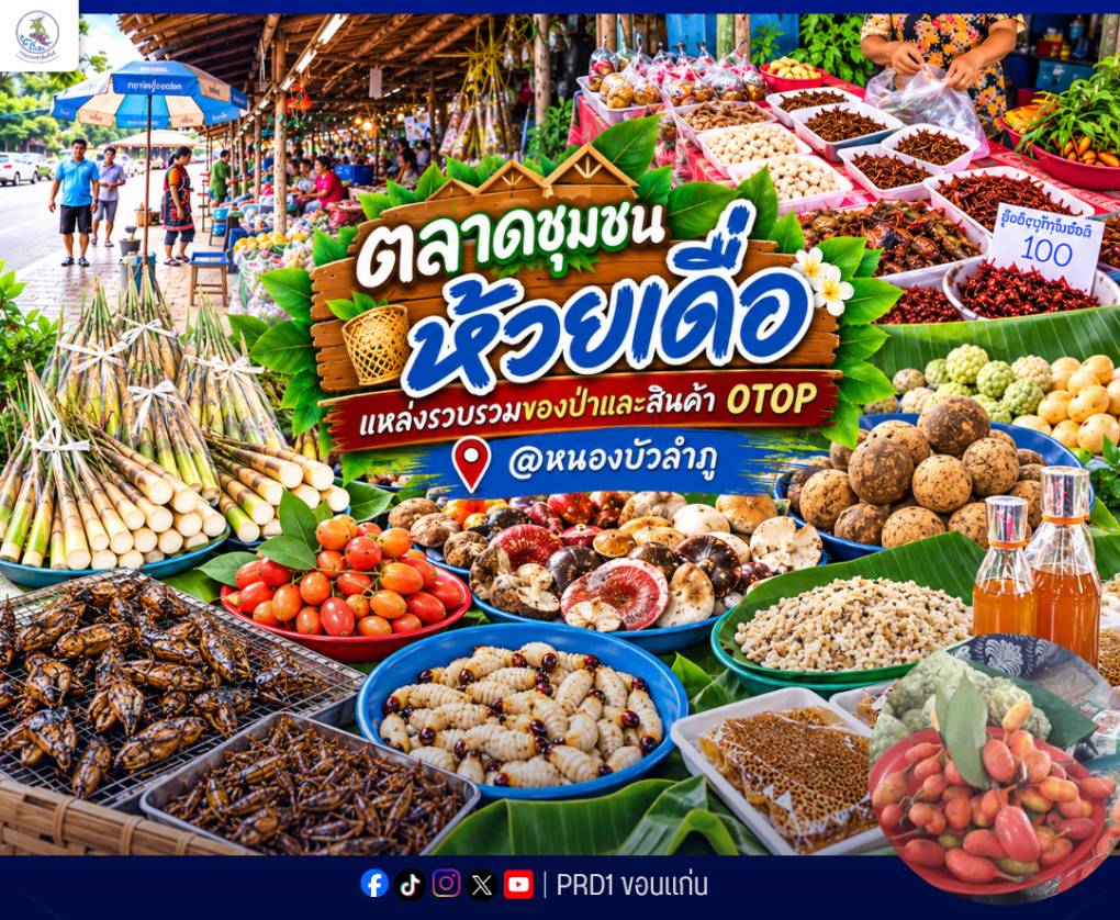 &ldquo;ตลาดชุมชนห้วยเดื่อ&rdquo; แหล่งรวบรวมของป่าและสินค้า OTOP @หนองบัวลำภู